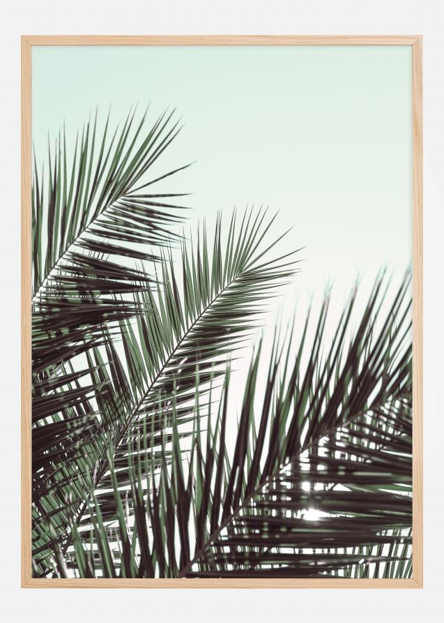 Bildverkstad Palm leaves sky Poster