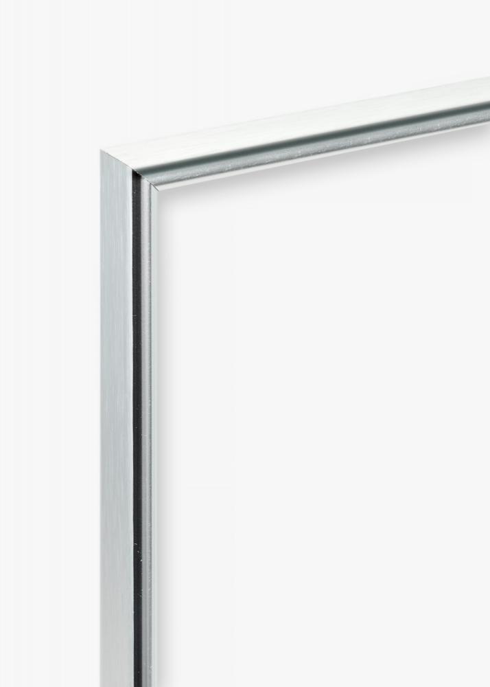 Focus Rahmen Can-Can Silber 29,7x42 cm (A3)