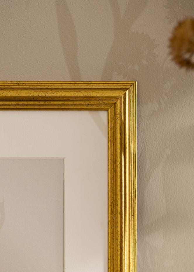 Galleri 1 Rahmen Vstkusten Acrylglas Gold 60x90 cm