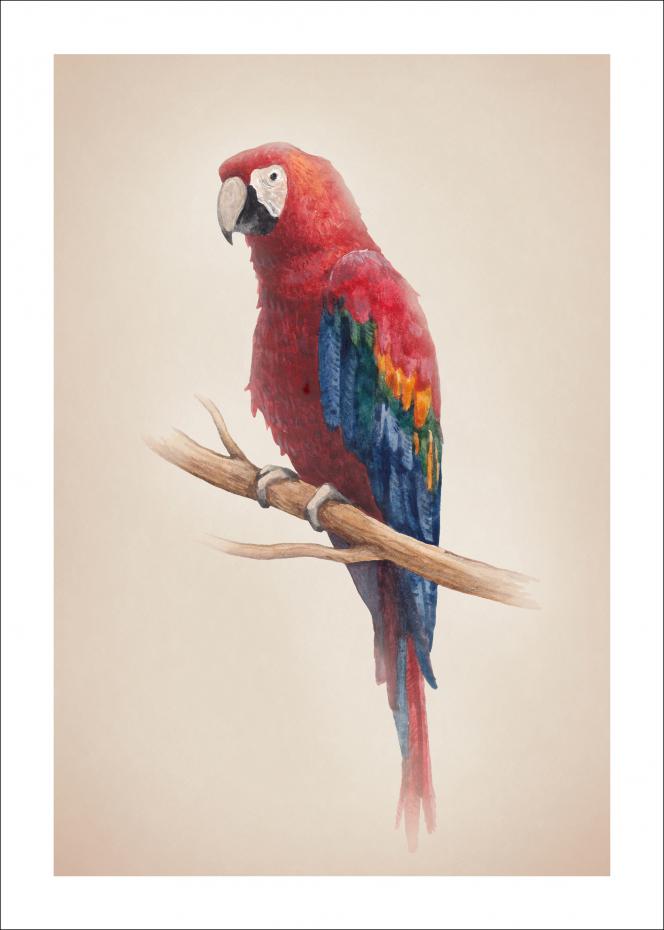 Bildverkstad Tropical Parrot Poster