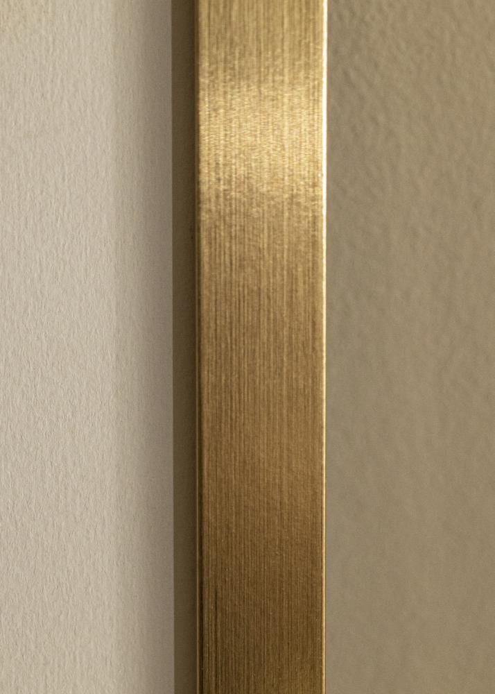 Artlink Rahmen Selection Acrylglas Gold 40x50 cm
