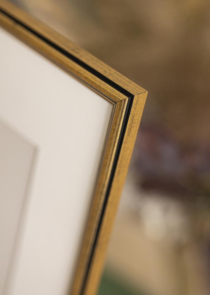Galleri 1 Rahmen Horndal Acrylglas Gold 21x29,7 cm (A4)