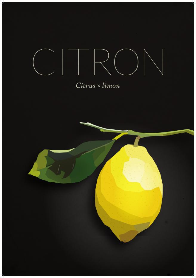 Bildverkstad Zitrone Poster