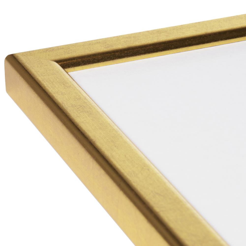 HHC Distribution Rahmen Slim Matt Antireflexglas Gold 30x40 cm