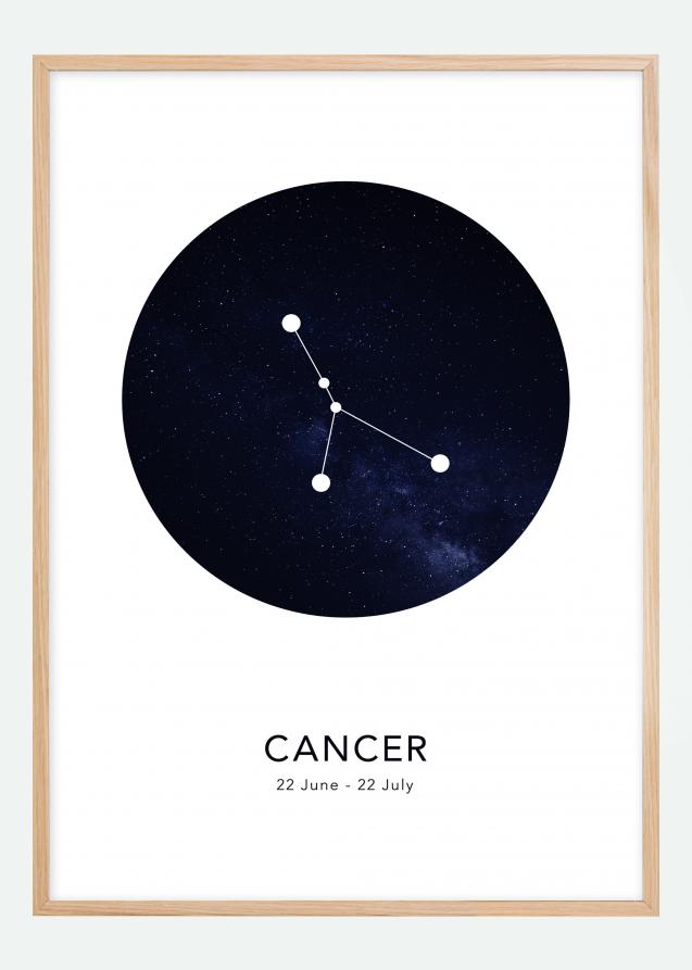 Bildverkstad Cancer Poster
