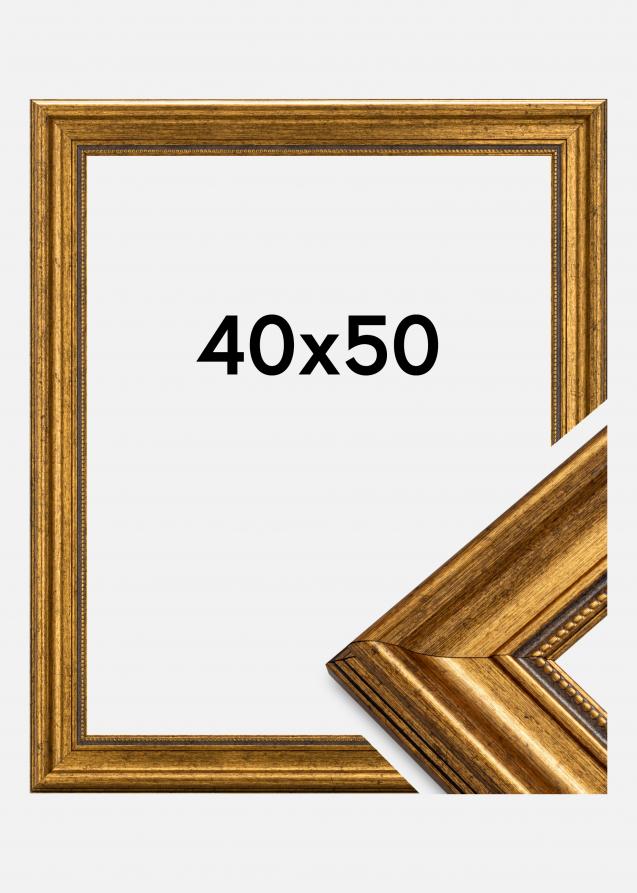 Estancia Rahmen Rokoko Acrylglas Gold 40x50 cm