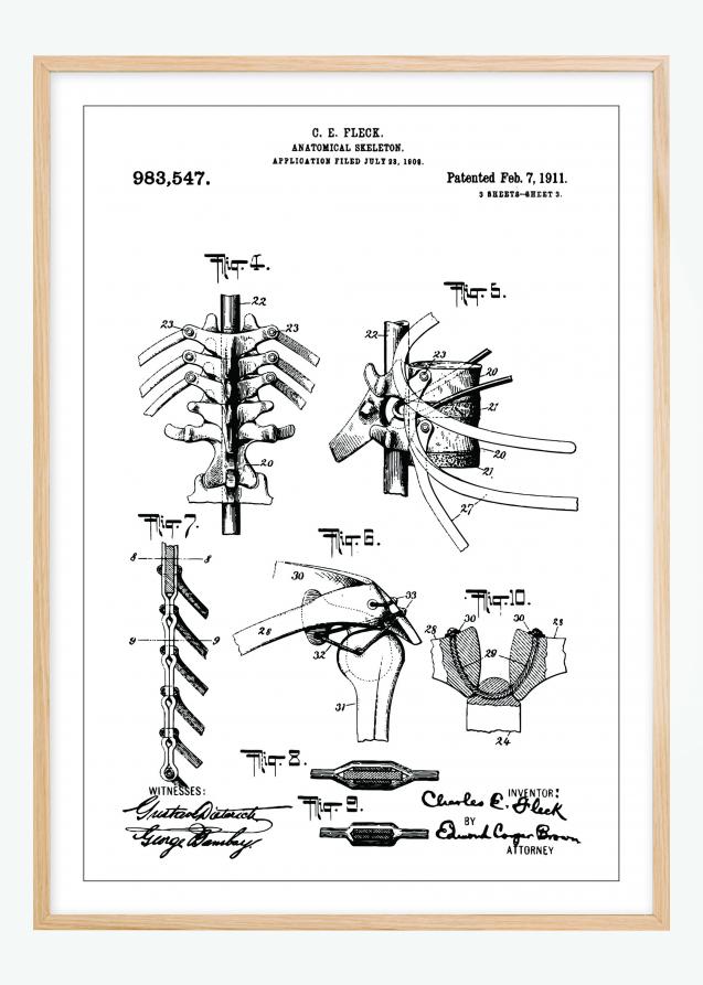 Bildverkstad Patentzeichnung - Anatomisches Skelett III Poster