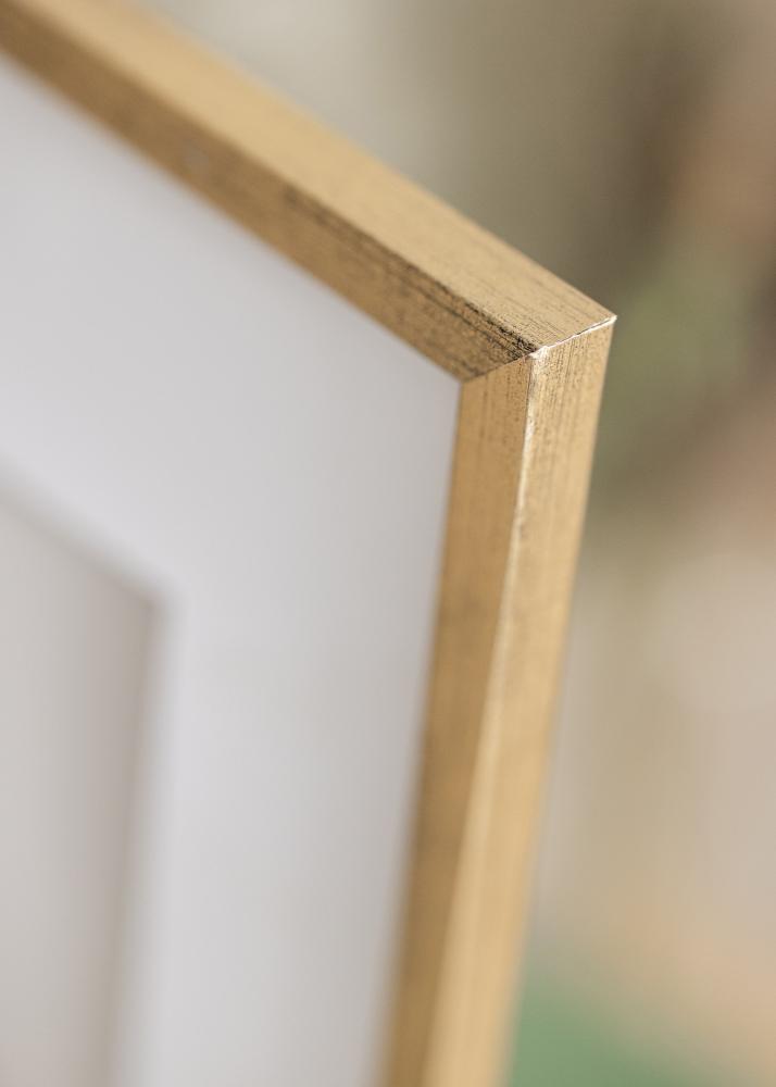 Estancia Rahmen Galant Gold 50x60 cm