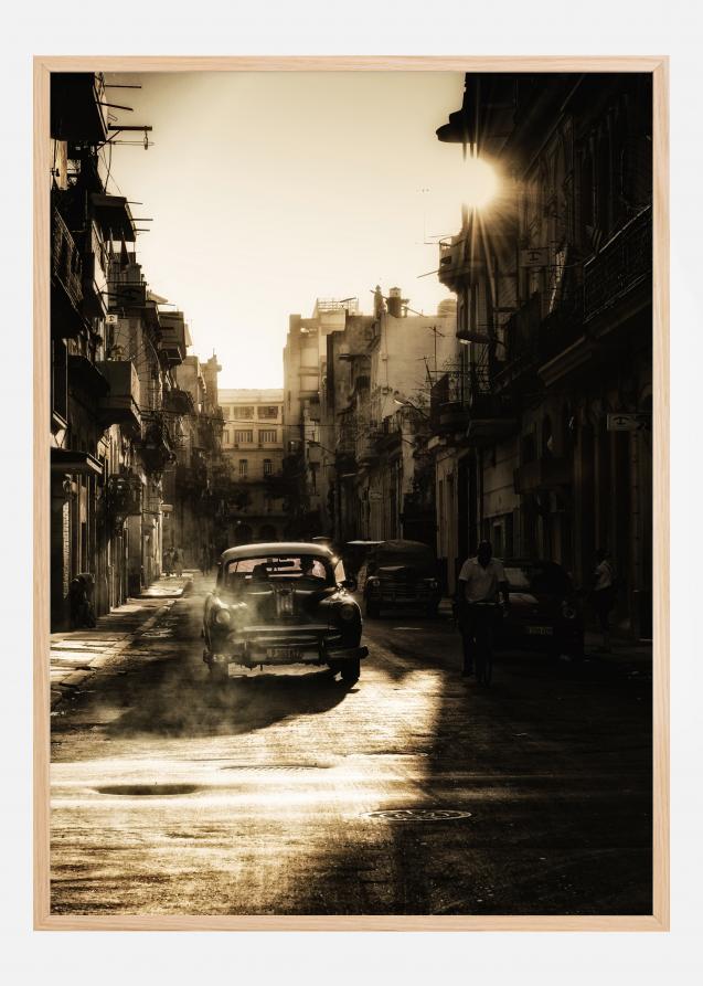 Bildverkstad Mystic morning in Havana Poster