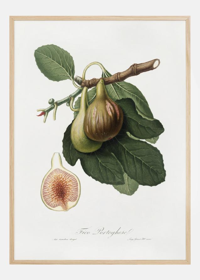 Bildverkstad Figs Poster