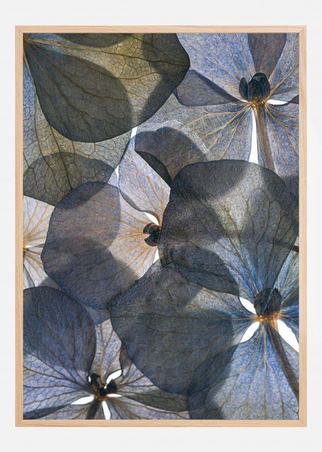 Bildverkstad Botanical II Poster