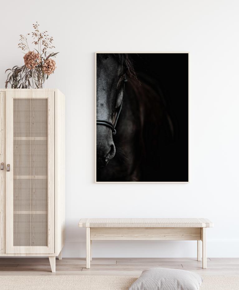 Bildverkstad Dark Horse Poster