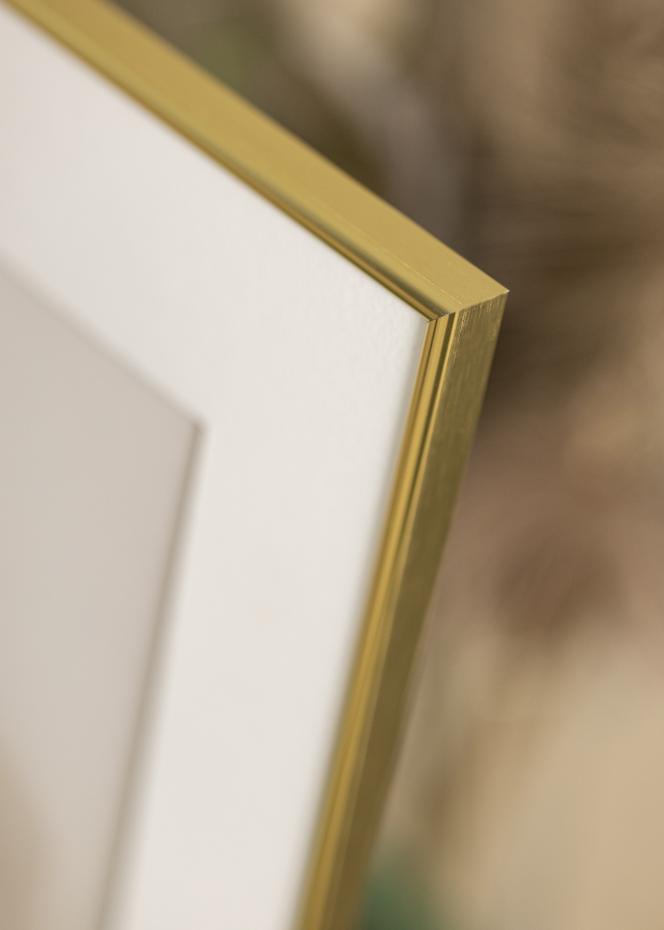 Focus Rahmen Can-Can Gold 40x60 cm