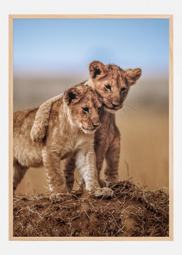 Bildverkstad Lion Brothers For Life Poster