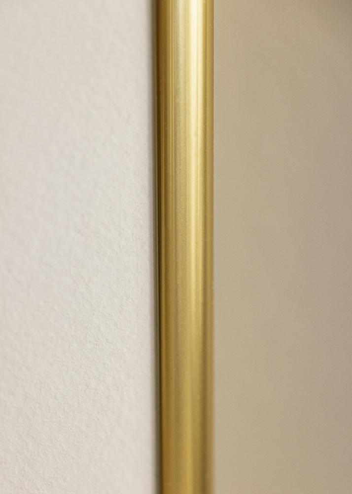 Estancia Rahmen Victoria Acrylglas Gold 40x50 cm