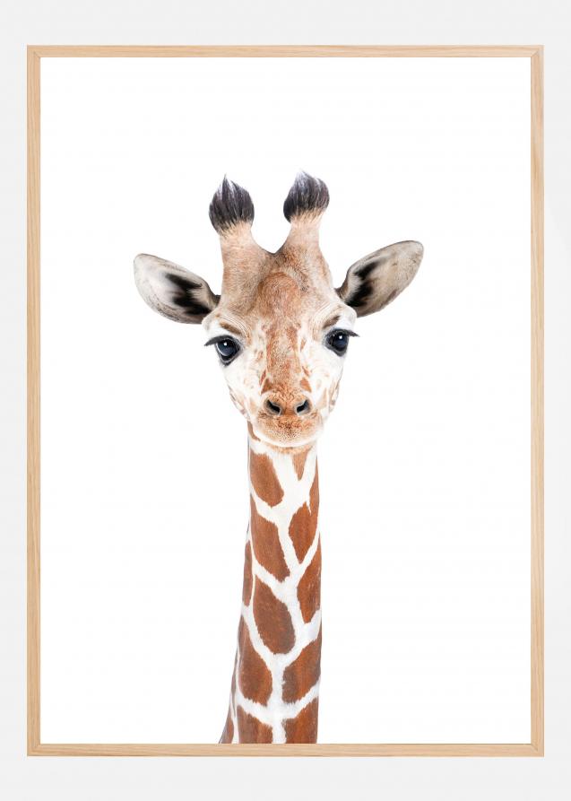 Bildverkstad Baby Giraffe Poster