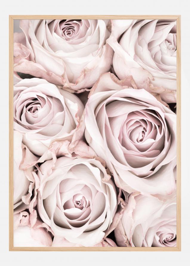 Bildverkstad Pink Roses Poster