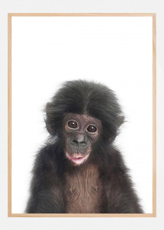 Bildverkstad Baby Monkey Poster