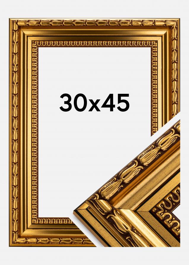 Ramverkstad Rahmen Birka Premium Gold 30x45 cm