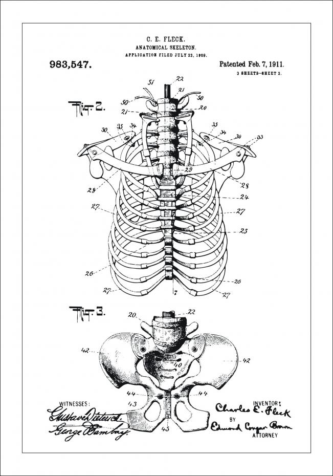 Bildverkstad Patentzeichnung - Anatomisches Skelett II Poster