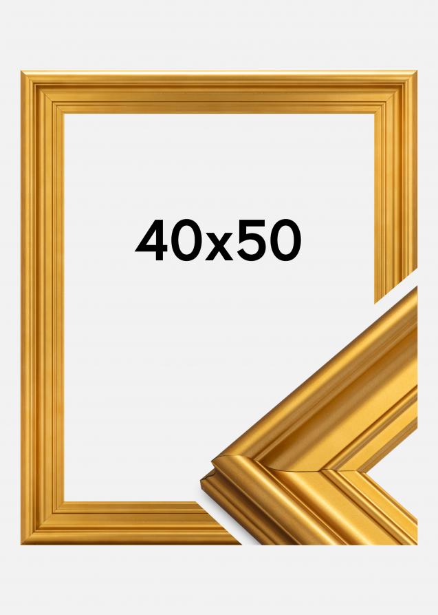 Galleri 1 Rahmen Mora Premium Acrylglas Gold 40x50 cm