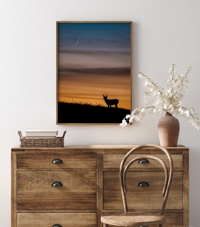 Bildverkstad Deer In Sunset Poster