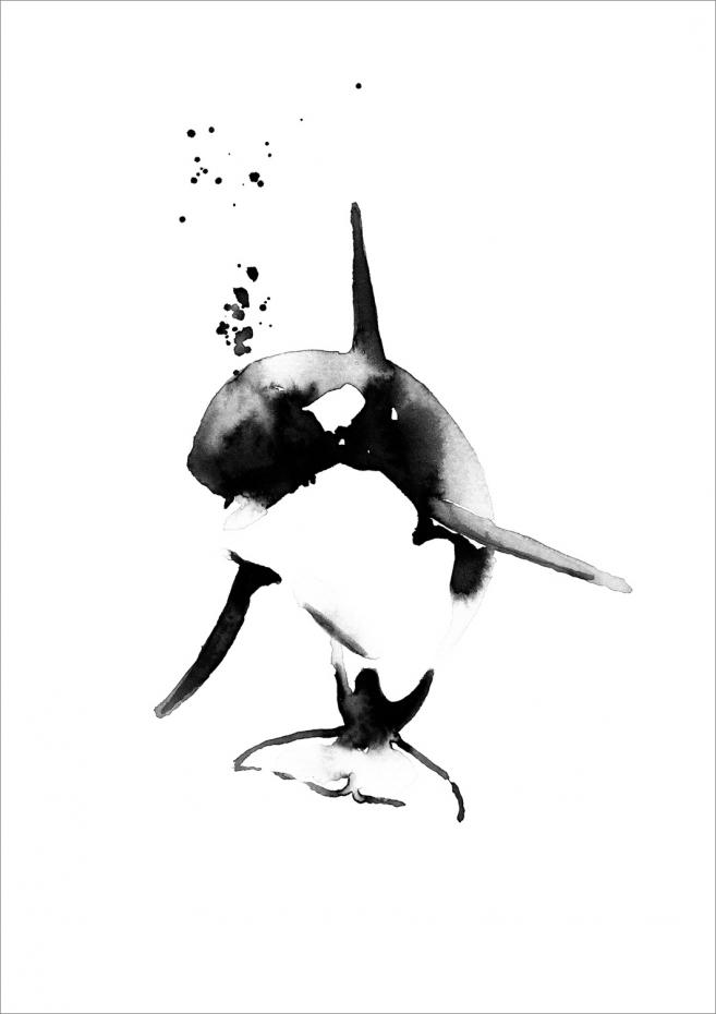 Magdaty Magdaty - Mini killer whale