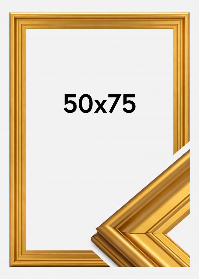 Ramverkstad Rahmen Mora Premium Gold 50x75 cm