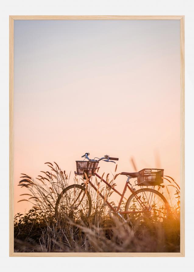 Bildverkstad Bike Ride In The Sunset Poster