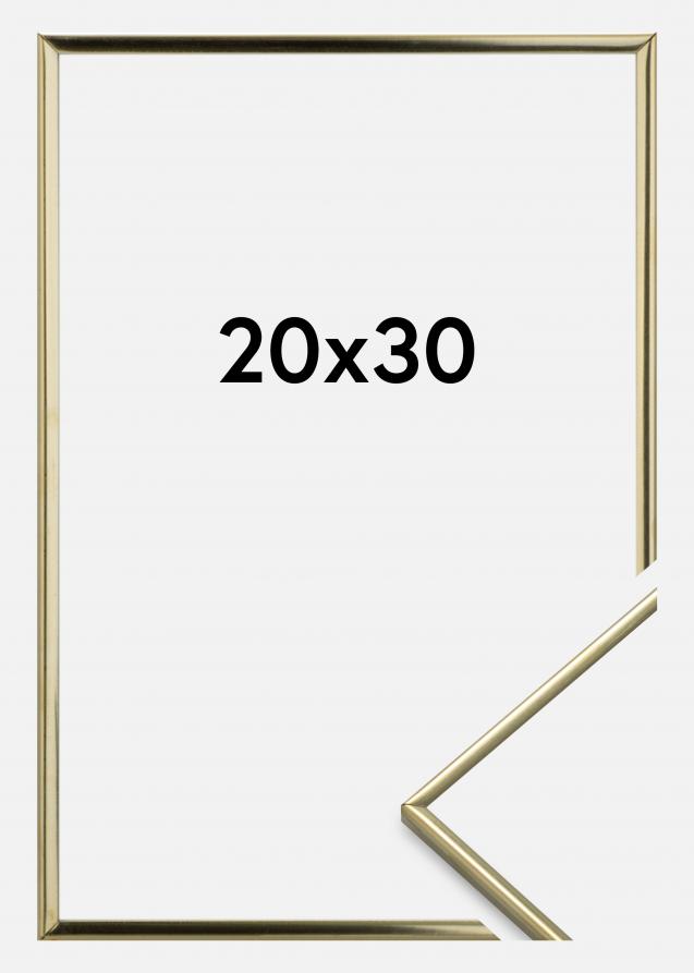 Eiri Kehykset Rahmen Slät Metall Gold 20x30 cm