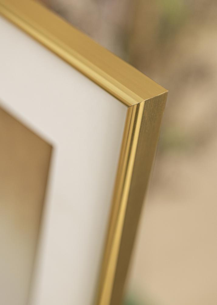 Walther Rahmen Galeria Gold 60x80 cm