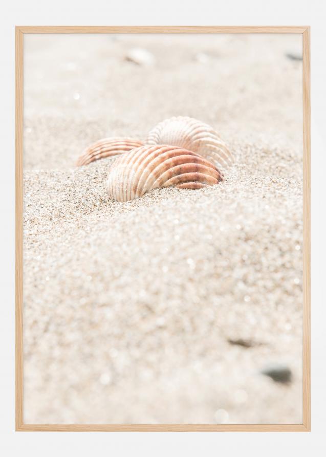 Bildverkstad Seashell beach Poster