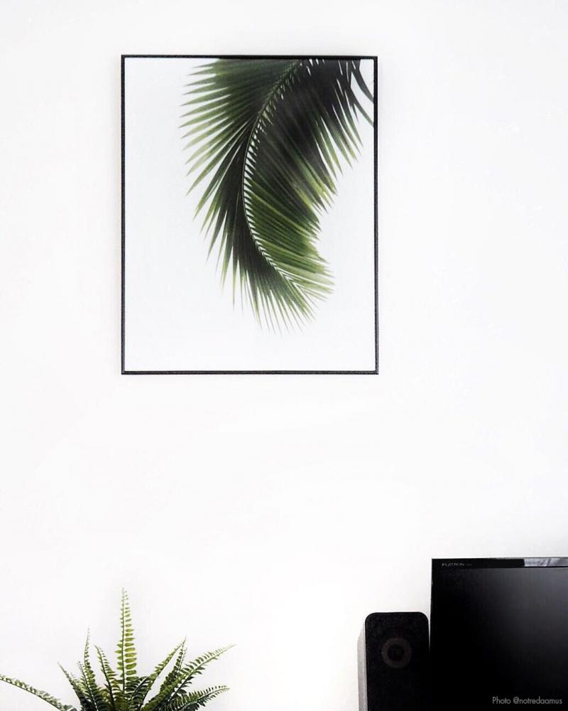Artlink Palm Leaf - 40x50 cm