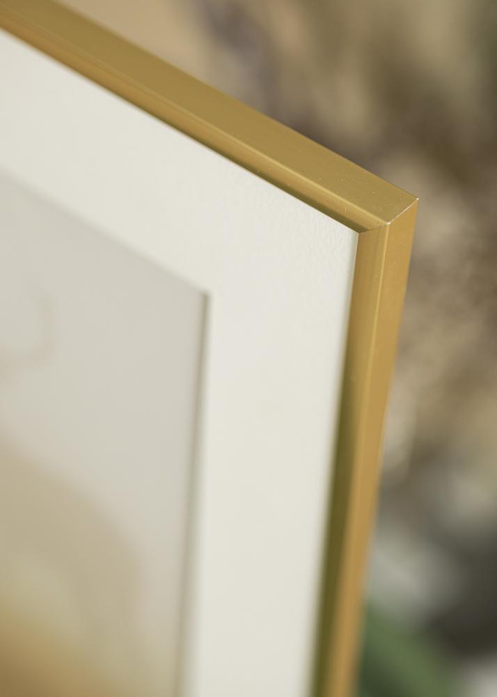 Walther Rahmen New Lifestyle Acrylglas Shiny Gold 40x50 cm