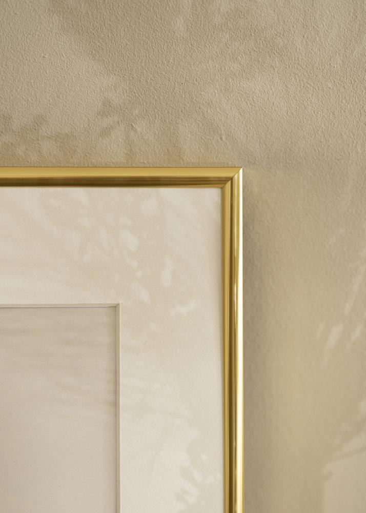 Estancia Rahmen Visby Acrylglas Gold Glnzend 50x70 cm