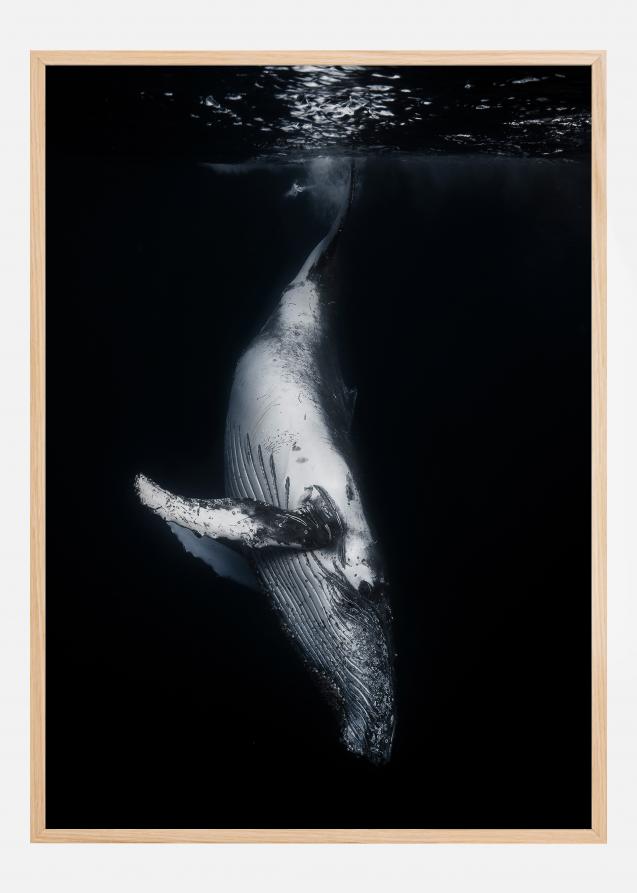 Bildverkstad Black Whale Poster