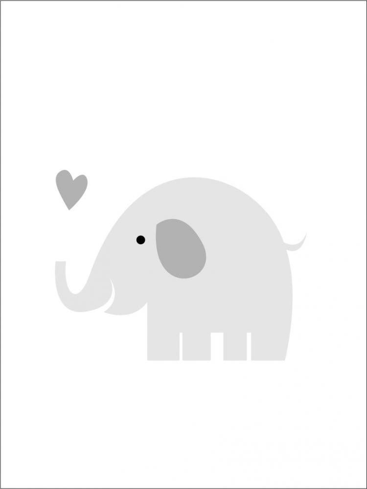Bildverkstad Elefant Solo - Nebelgrau Poster