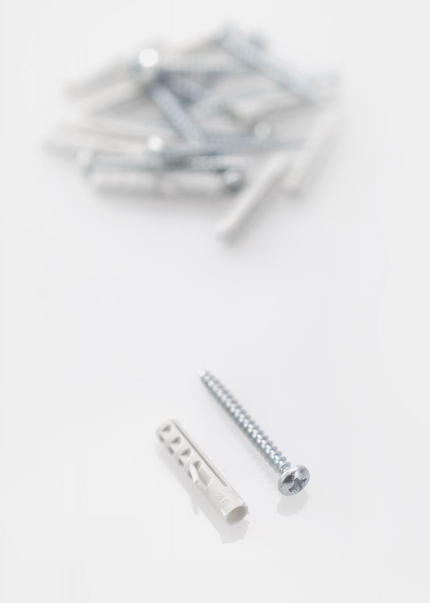 Hier Dübel 30 x 6 mm mit Schraube 10erPack kaufen BGASTORE.DE