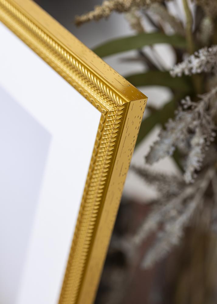 BGA Rahmen Lattice Acrylglas Gold 30x40 cm