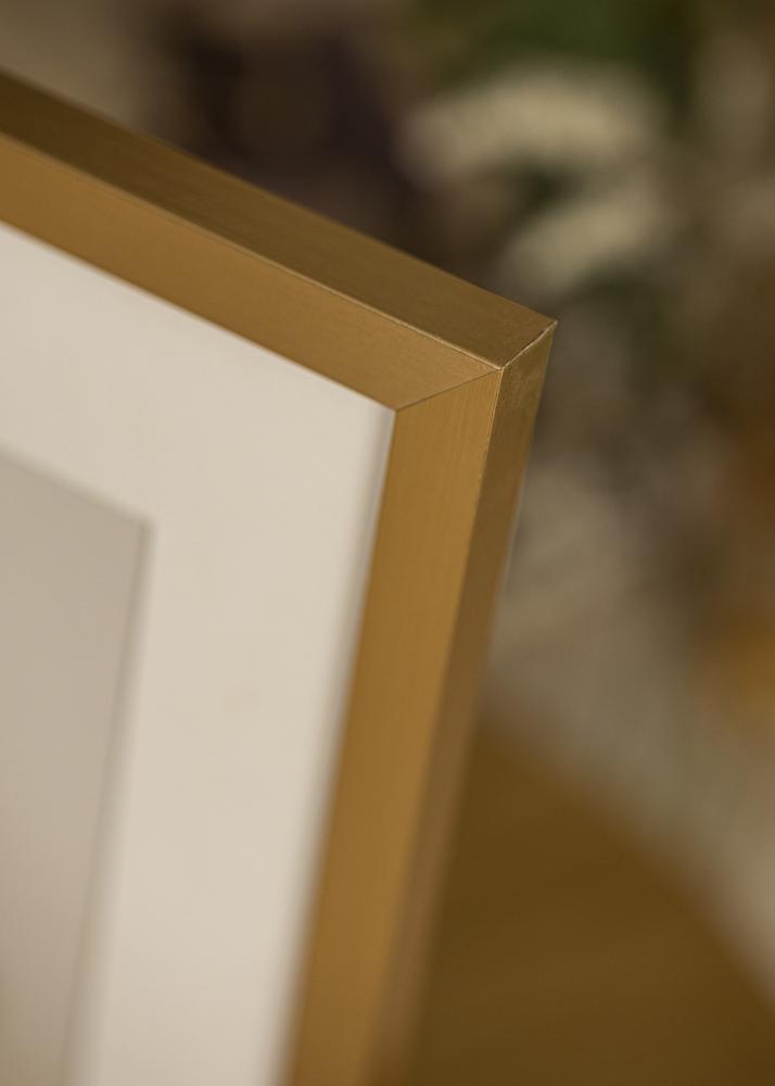 Artlink Rahmen Selection Acrylglas Gold 50x70 cm