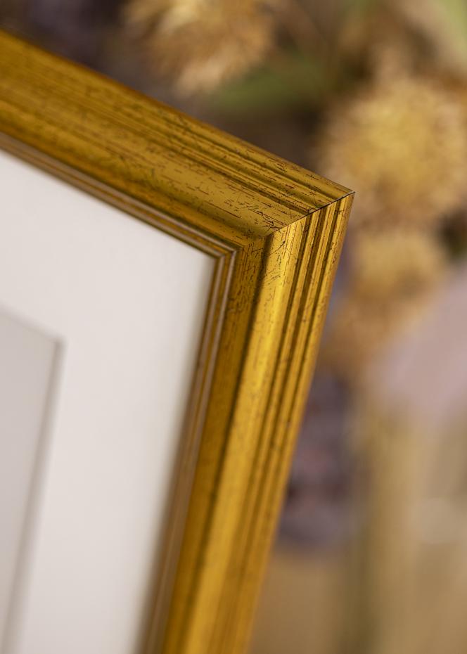 Galleri 1 Rahmen Vstkusten Acrylglas Gold 60x60 cm