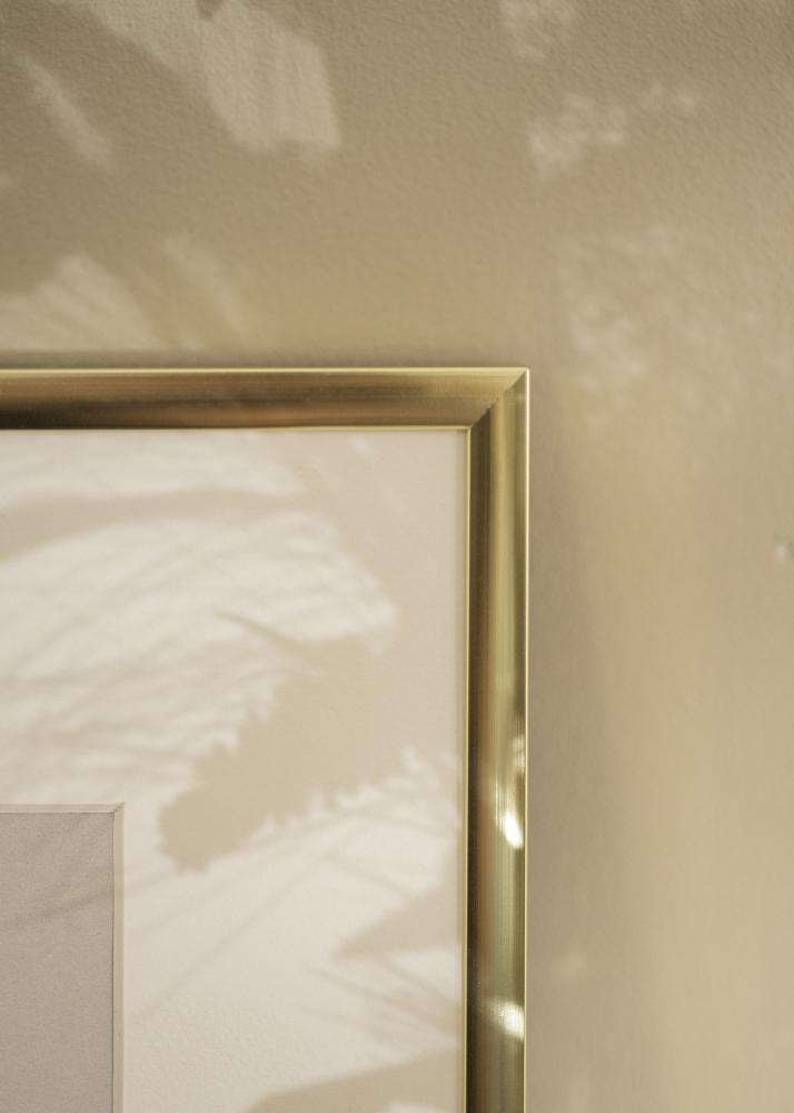 Artlink Rahmen Poster Frame Aluminum Acrylglass Gold 60x80 cm