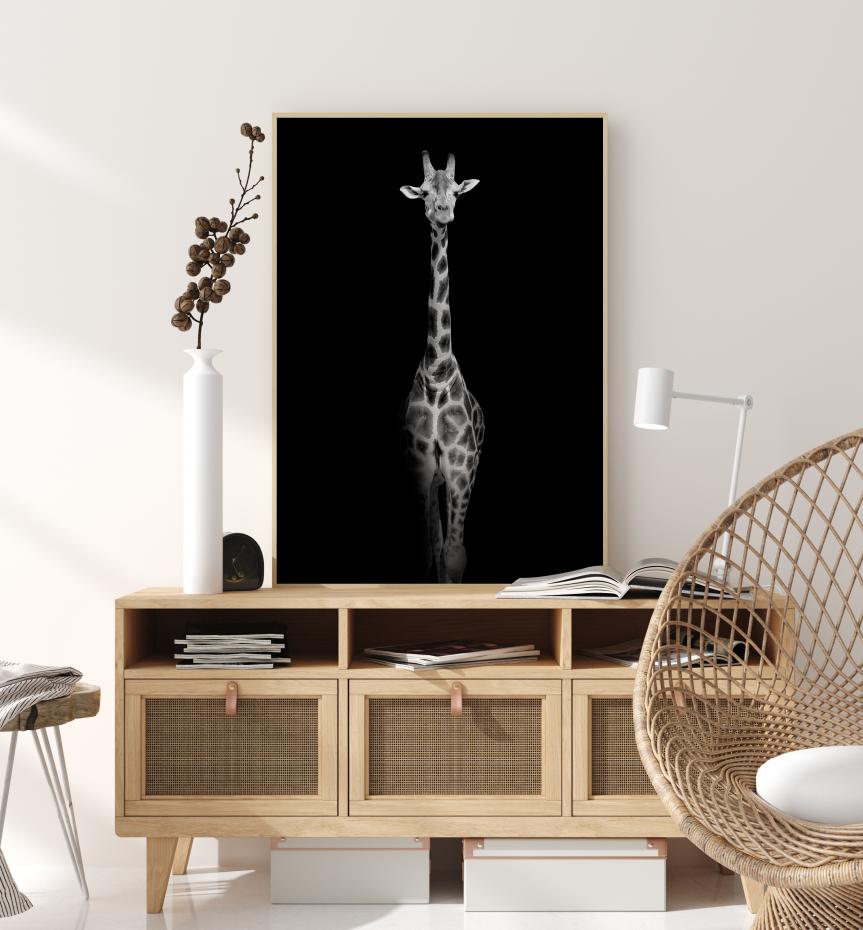 Bildverkstad Stunning giraffe Poster