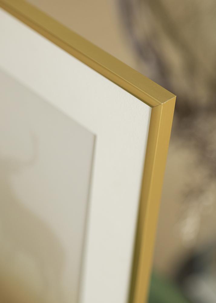 Walther Rahmen New Lifestyle Acrylglas Gold 60x90 cm