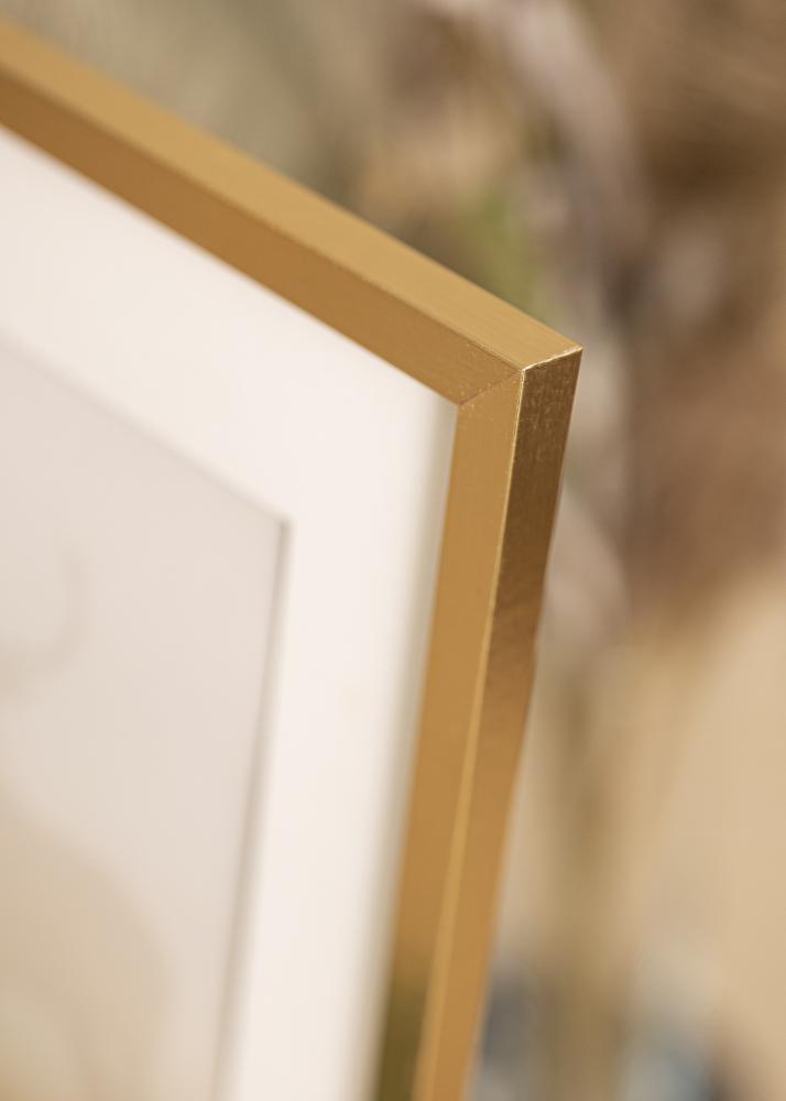 Artlink Rahmen Trendy Acrylglas Gold 21x30 cm