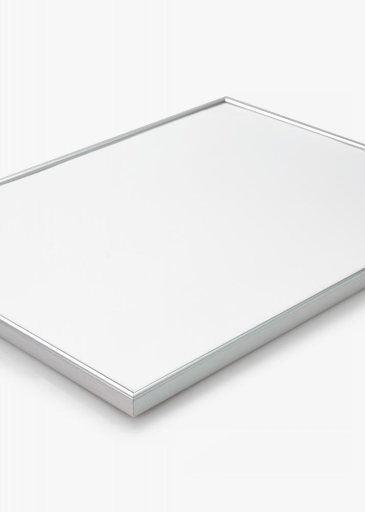 Focus Rahmen Can-Can Silber 50x60 cm