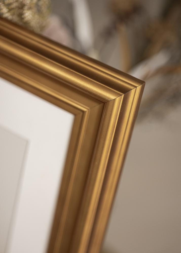 Galleri 1 Rahmen Mora Premium Acrylglas Gold 30x40 cm