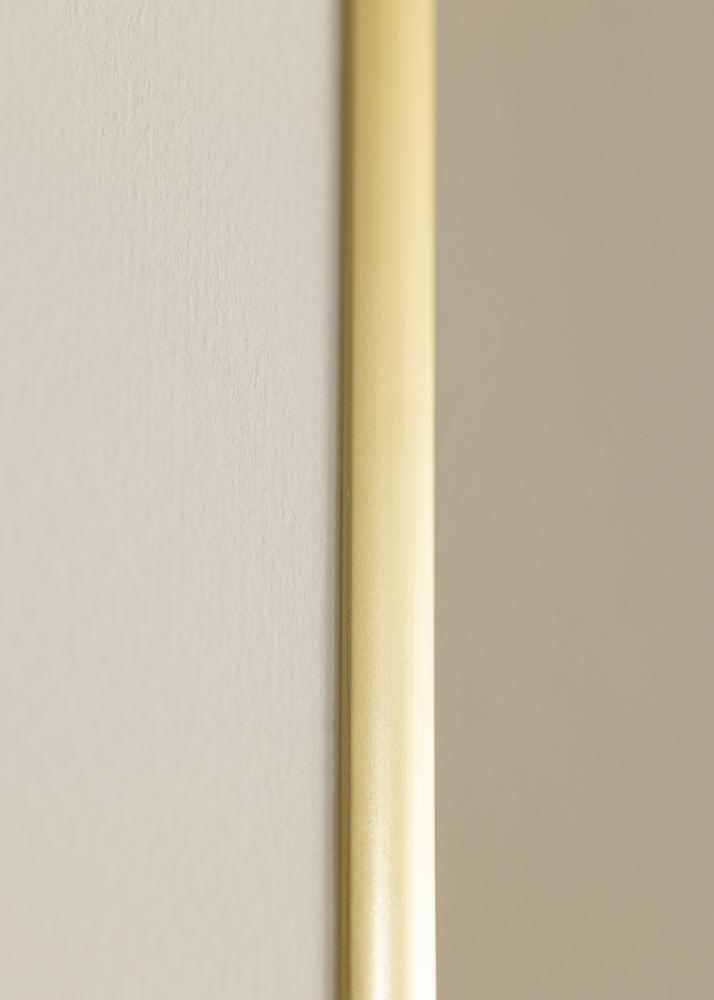 Walther Rahmen New Lifestyle Acrylglas Gold 50x70 cm