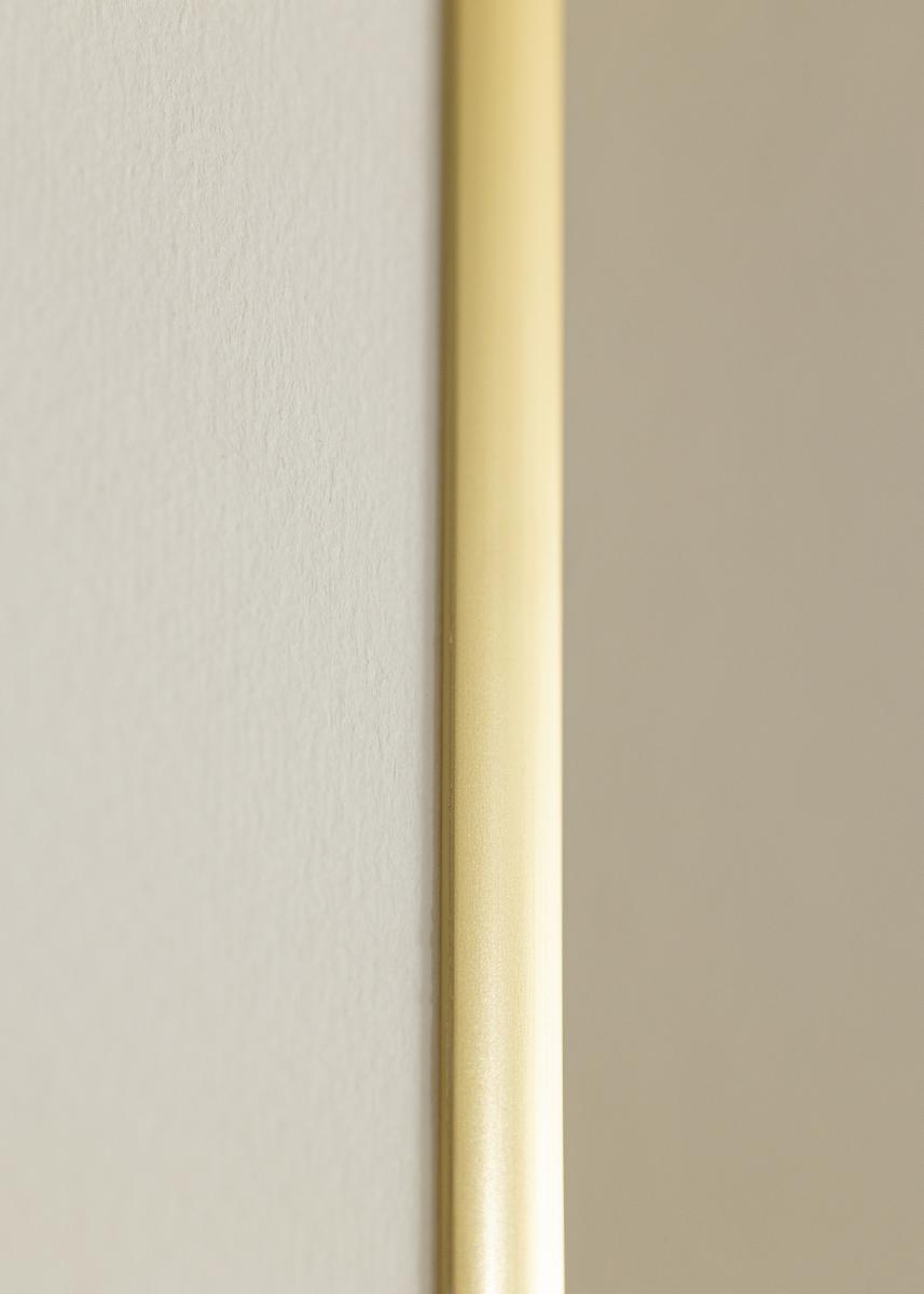 Walther Rahmen New Lifestyle Acrylglas Gold 21x29,7 cm (A4)