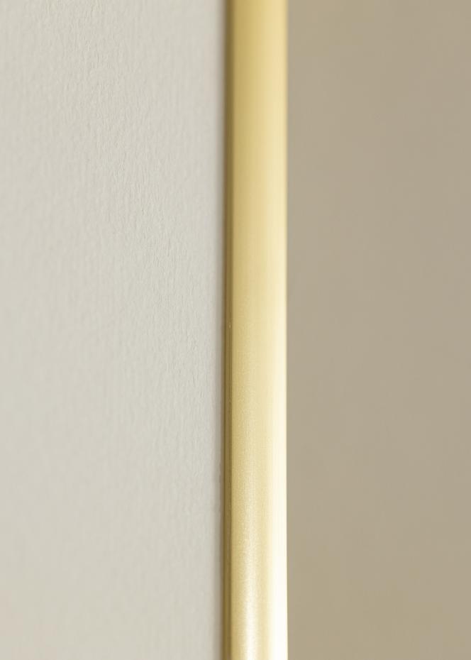 Walther Rahmen New Lifestyle Acrylglas Gold 30x40 cm